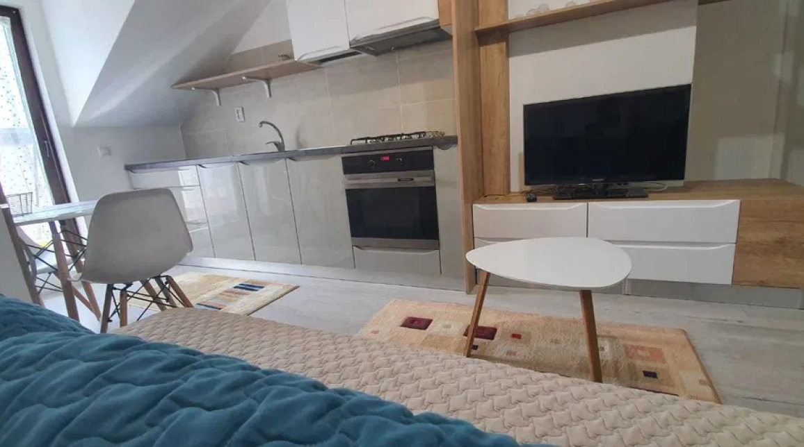 Oferta Apartament, 2 camere, , 46 mp , Centru Civic, de vanzare,  PALAS MALL imagine 1