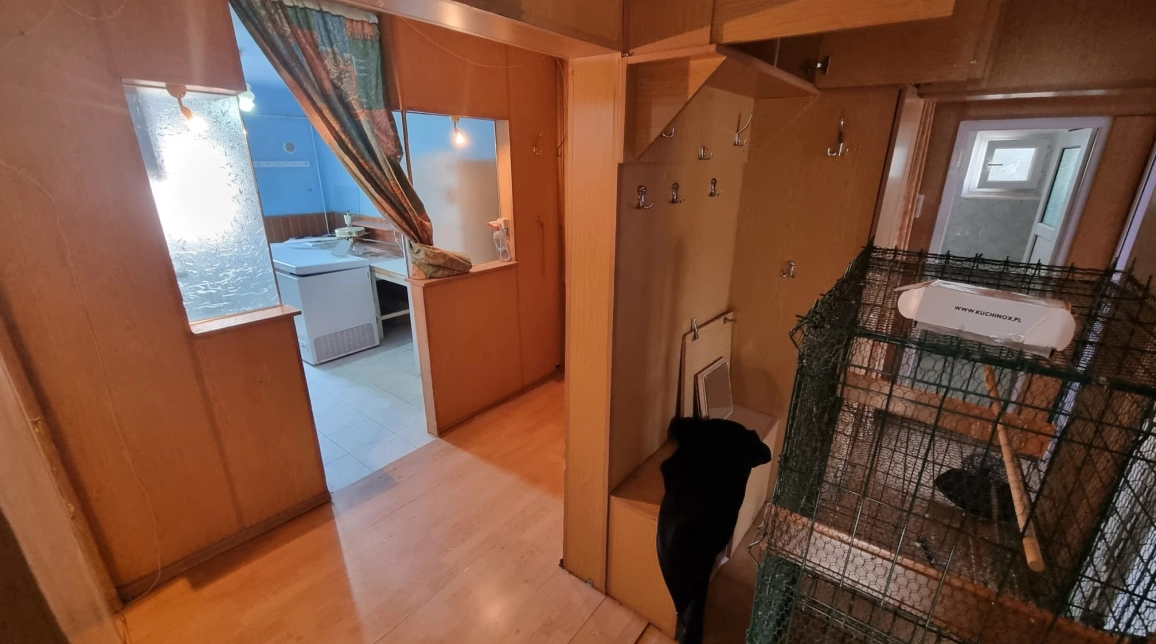 Oferta 4 camere, decomandat, 93 mp , de vanzare apartament in zona Tomesti,  Scoala Patrascanu imagine 15