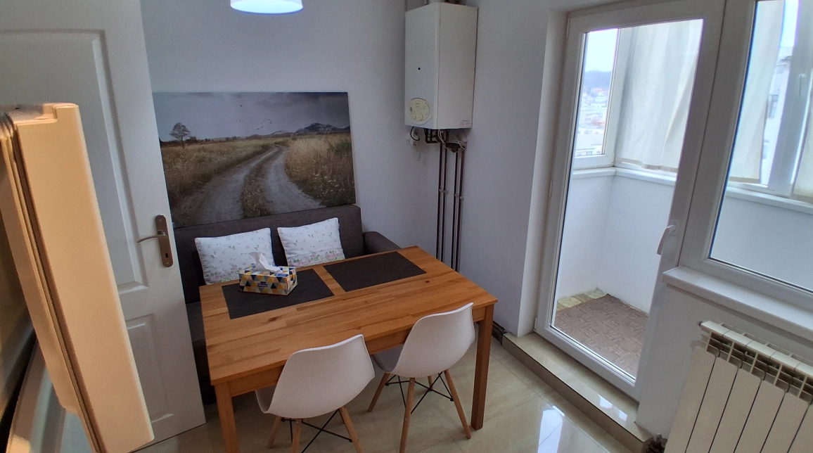 Oferta De vanzare apartament, o camera, decomandat, 40 mp , Pacurari,  MOARA DE FOC, AUTOCENTER imagine 6