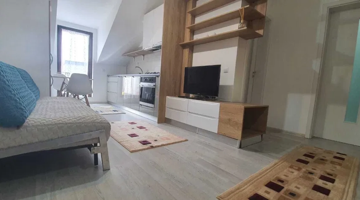 Oferta Apartament, 2 camere, , 46 mp , Centru Civic, de vanzare,  PALAS MALL imagine 3
