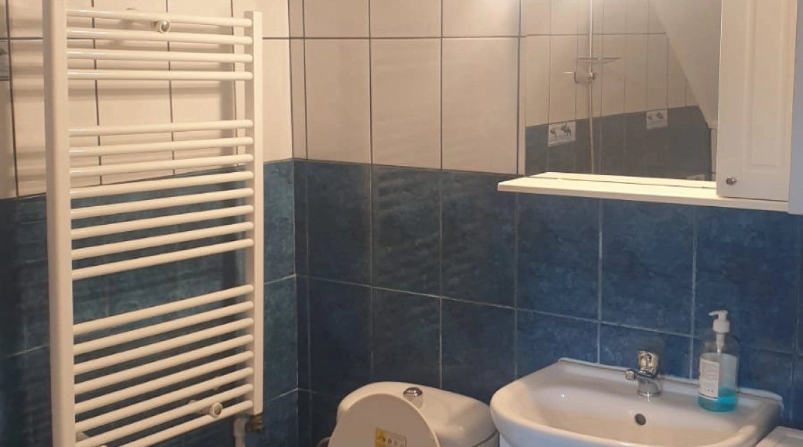 Oferta Apartament, 2 camere, decomandat, 61 mp , Nicolina, de vanzare,  dupa Bisericuta imagine 4