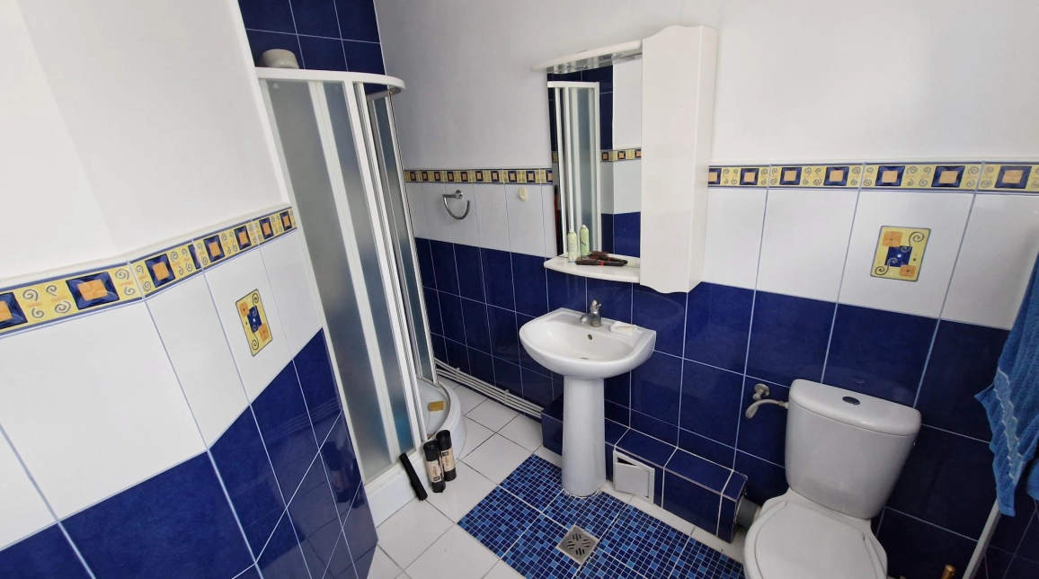 Oferta 4 camere, 180 mp , de vanzare casa in zona Bucium,   imagine 8