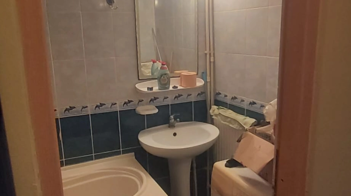 Oferta De vanzare apartament, 2 camere, , 34 mp , Pacurari,   Alpha Bank    Mansarda pe 2 nivelrui imagine 7