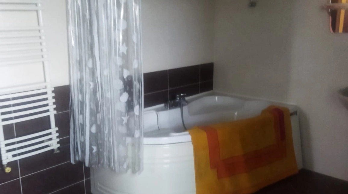 Oferta De vanzare casa, 9 camere, 400 mp , Bucium,  dupa scoala Veronica Micle imagine 14