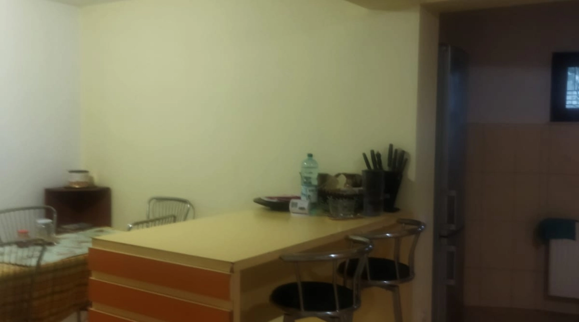Oferta De vanzare casa, 9 camere, 400 mp , Bucium,  dupa scoala Veronica Micle imagine 16