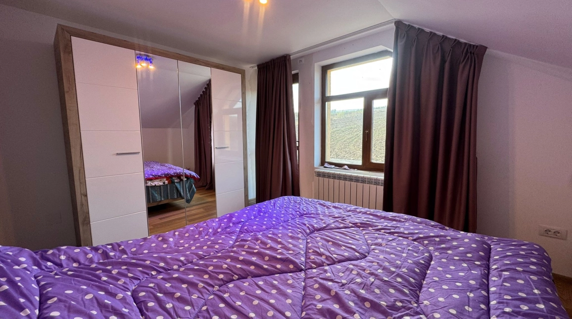 Oferta 4 camere, 194 mp , de vanzare casa in zona Tomesti,  Chicerea  inainte de Biserica imagine 11