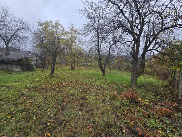 Teren  Tomesti Biserica 1000mp  160519