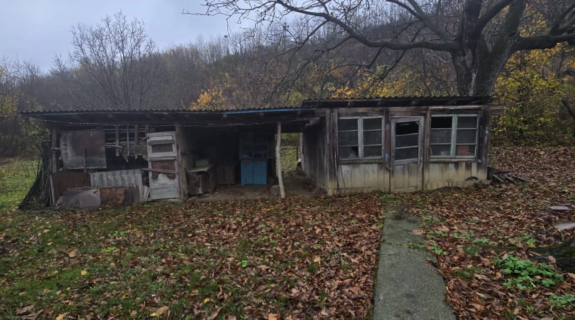 Oferta Casa de vanzare, 3 camere, 70 mp , Tomesti,  Biserica imagine 5