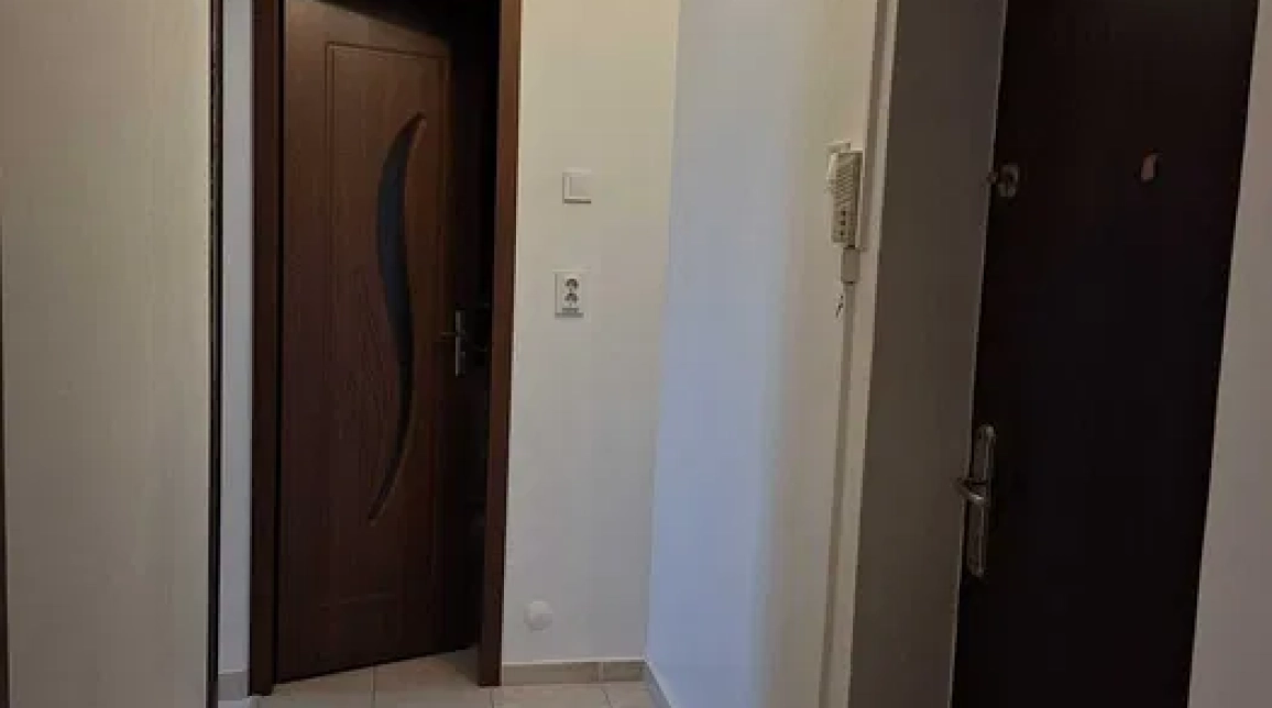 Oferta Apartament, o camera, decomandat, 40 mp , Nicolina, de inchiriat,  Lidl imagine 7