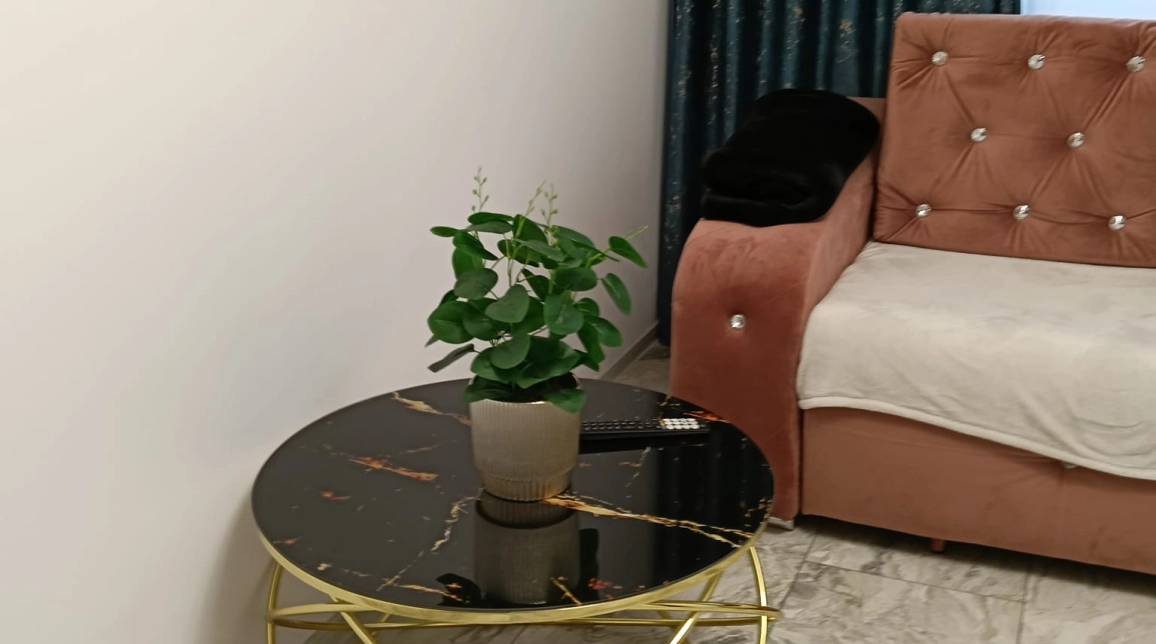 Oferta De vanzare apartament, 2 camere, nedecomandat, 50 mp , Podu Ros,  1001 Articole imagine 18
