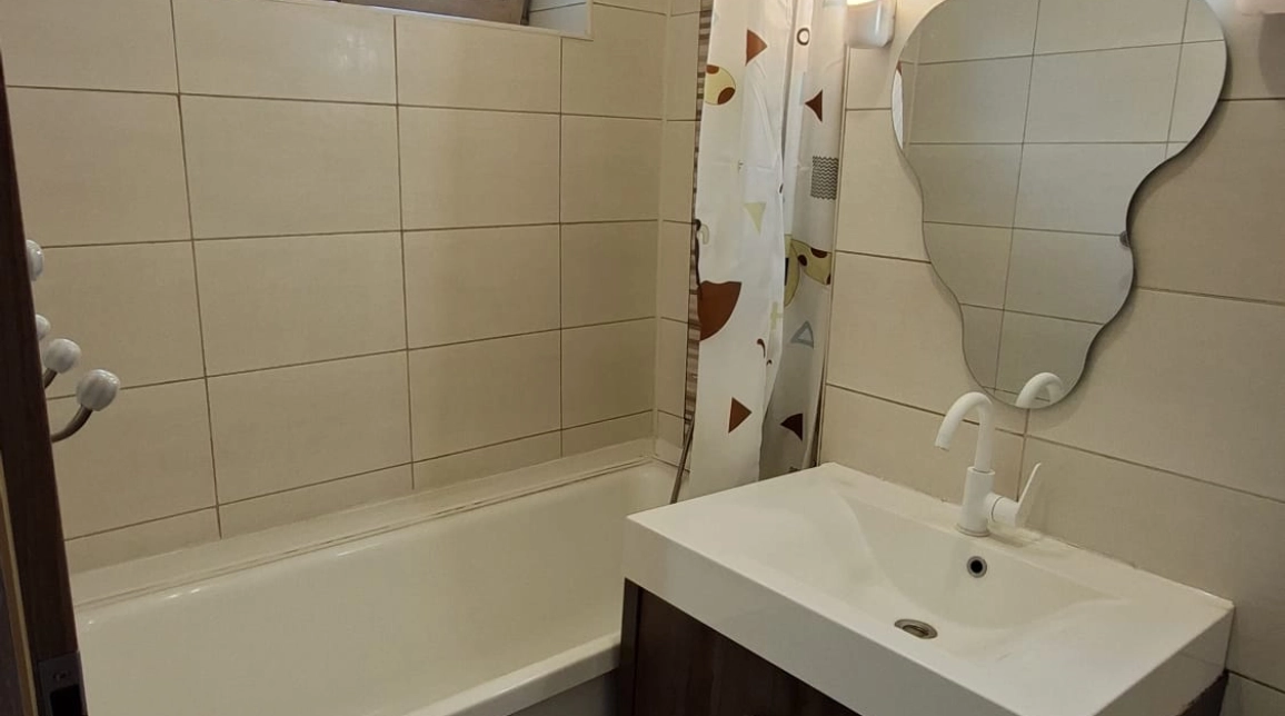 Oferta De vanzare apartament, 2 camere, semidecomandat, 50 mp , Podu Ros,  Sensul Giratoriu imagine 5