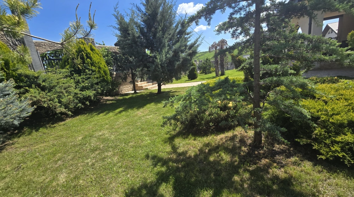 Oferta De vanzare casa, 5 camere, 180 mp , Visani,  700m de Freya imagine 3