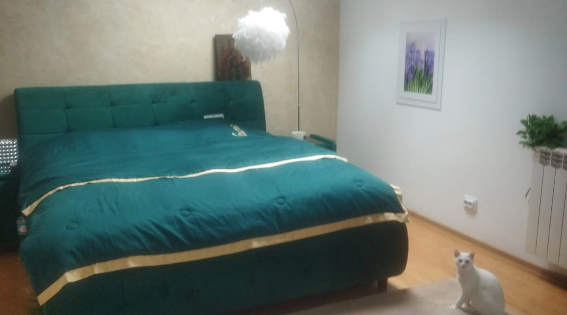 Oferta De vanzare casa, 9 camere, 400 mp , Bucium,  dupa scoala Veronica Micle imagine 18