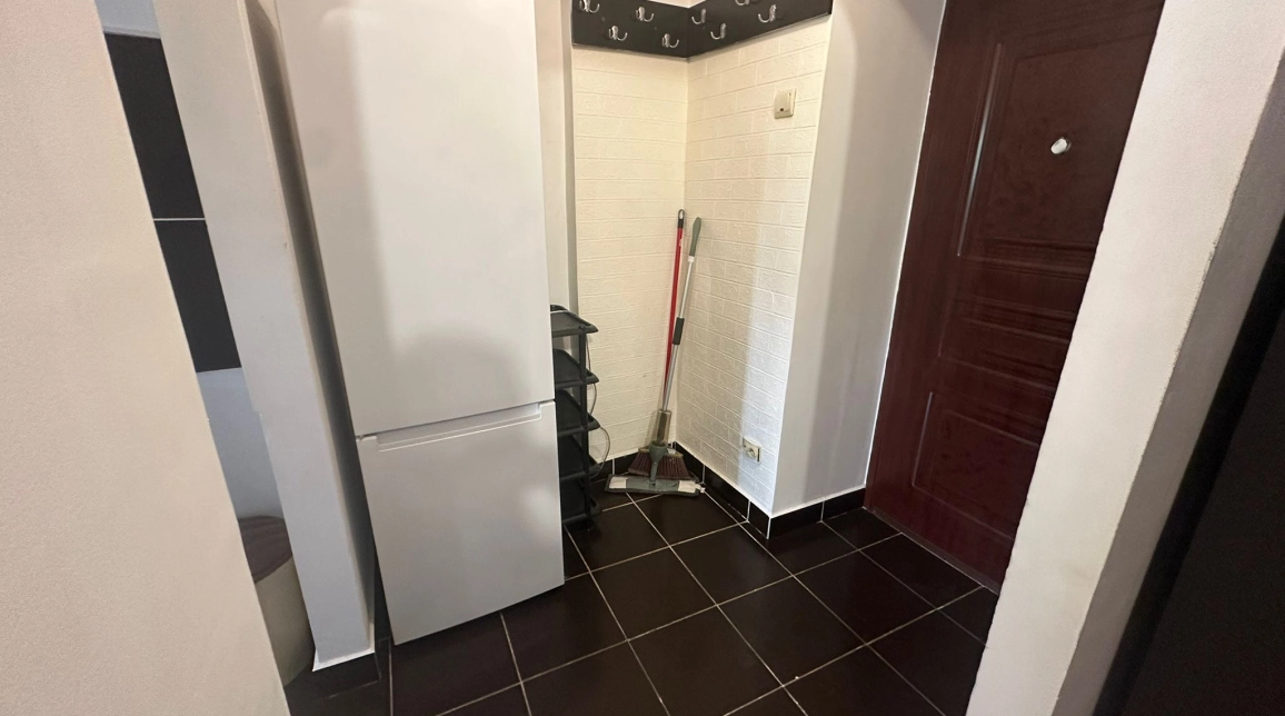 Oferta De inchiriat apartament, o camera, , 40 mp , Nicolina,  Biserica Catolica imagine 7