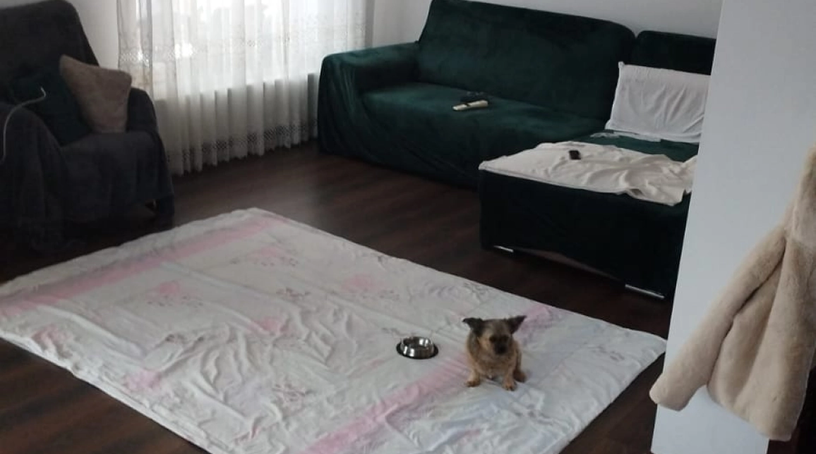 Oferta Casa, 5 camere, 170 mp , Valea Adanca, de vanzare,  Expomobila imagine 7